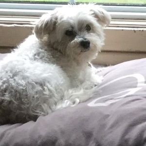 Meet your Posher, Betty